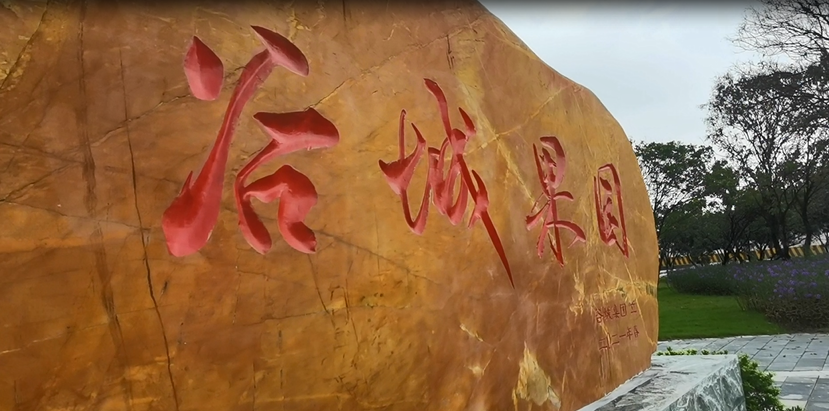 谷城礦業(yè)直播：走進(jìn)“谷城果園”！